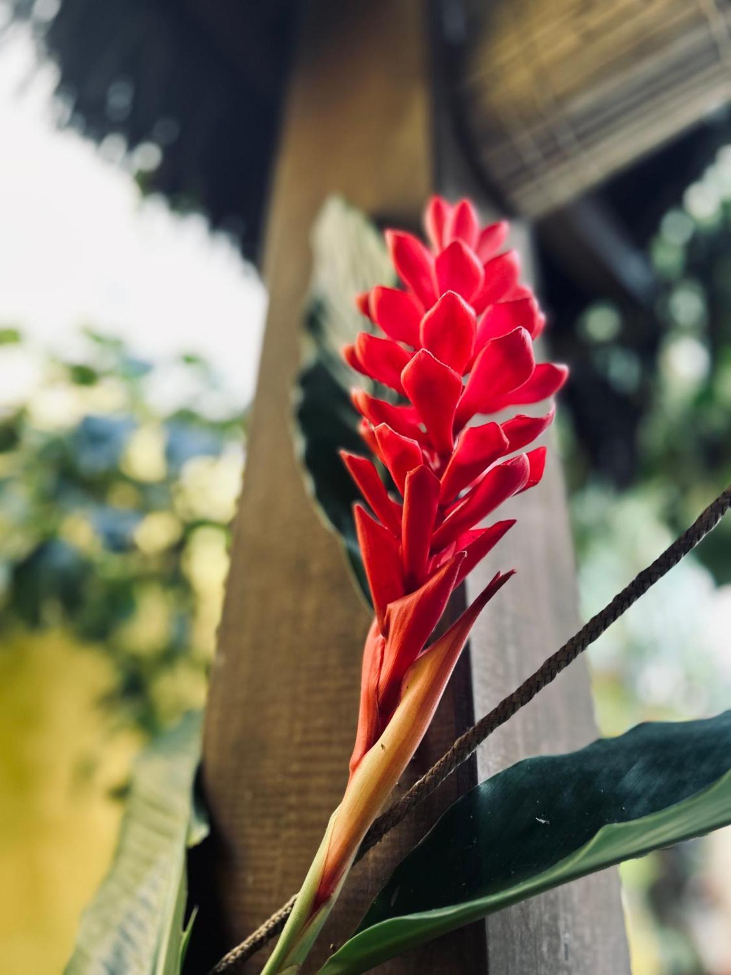 Pousada Velha Boipeba Exterior foto